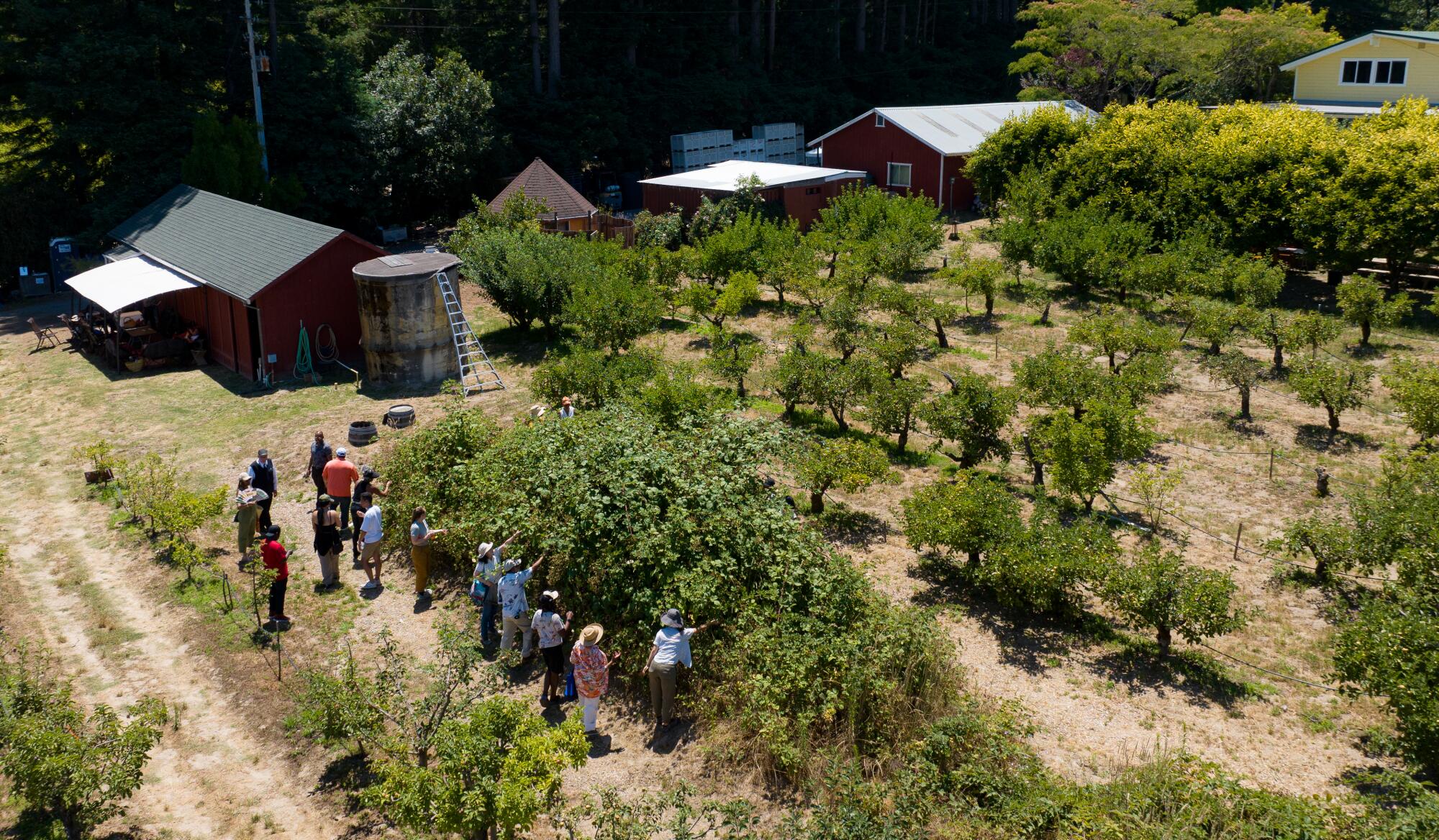 A U-pick group picks berries at EARTHseed Farm.